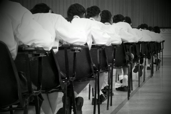 让教育公平有了实质进展!浙江一地可直升普高引热议:官方回应仍有学生选职校