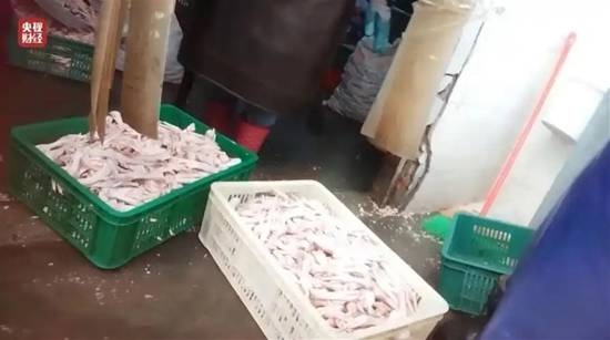 2026年3·15晚会曝光完整名单回顾 从食品安全到AI骗局