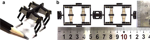 国防科大发布1.2克微型机器人：用折纸工艺打造 能跑能游还能钻弯道