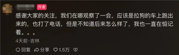 7只狗狗上演大逃亡:本以为是自救励志片 结果是为爱离家出走