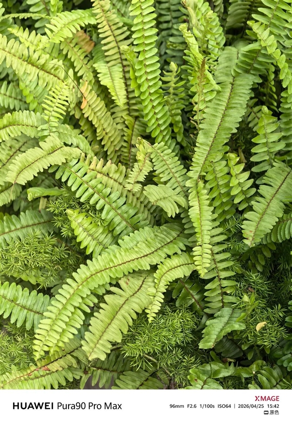 用了几天华为Pura90 Pro Max 熟悉的味道回来了