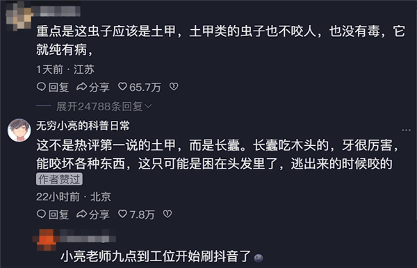 女子睡觉时被虫咬断一大把头发 专业人士科普揭秘“凶手”身份