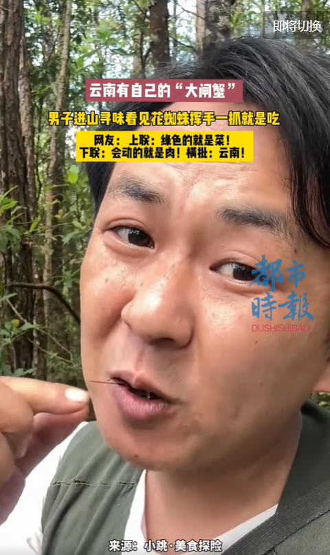 太猛了！云南男子野外生吃“花蜘蛛”：自称味道像蟹黄