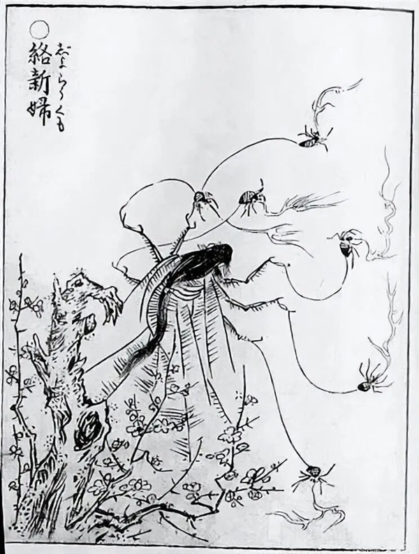 太猛了！云南男子野外生吃“花蜘蛛”：自称味道像蟹黄